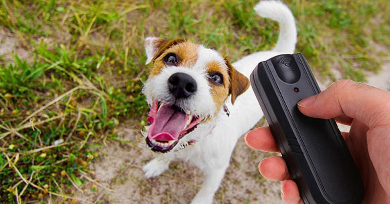 Ingenious Device Stops Dog Barking and Makes Your Dog Happy